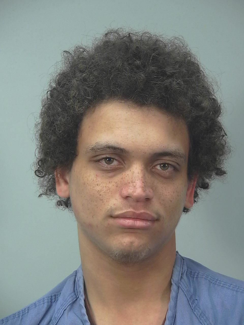 Police dog tracked auto theft suspect for half-mile, suspect arrested, Madison police say